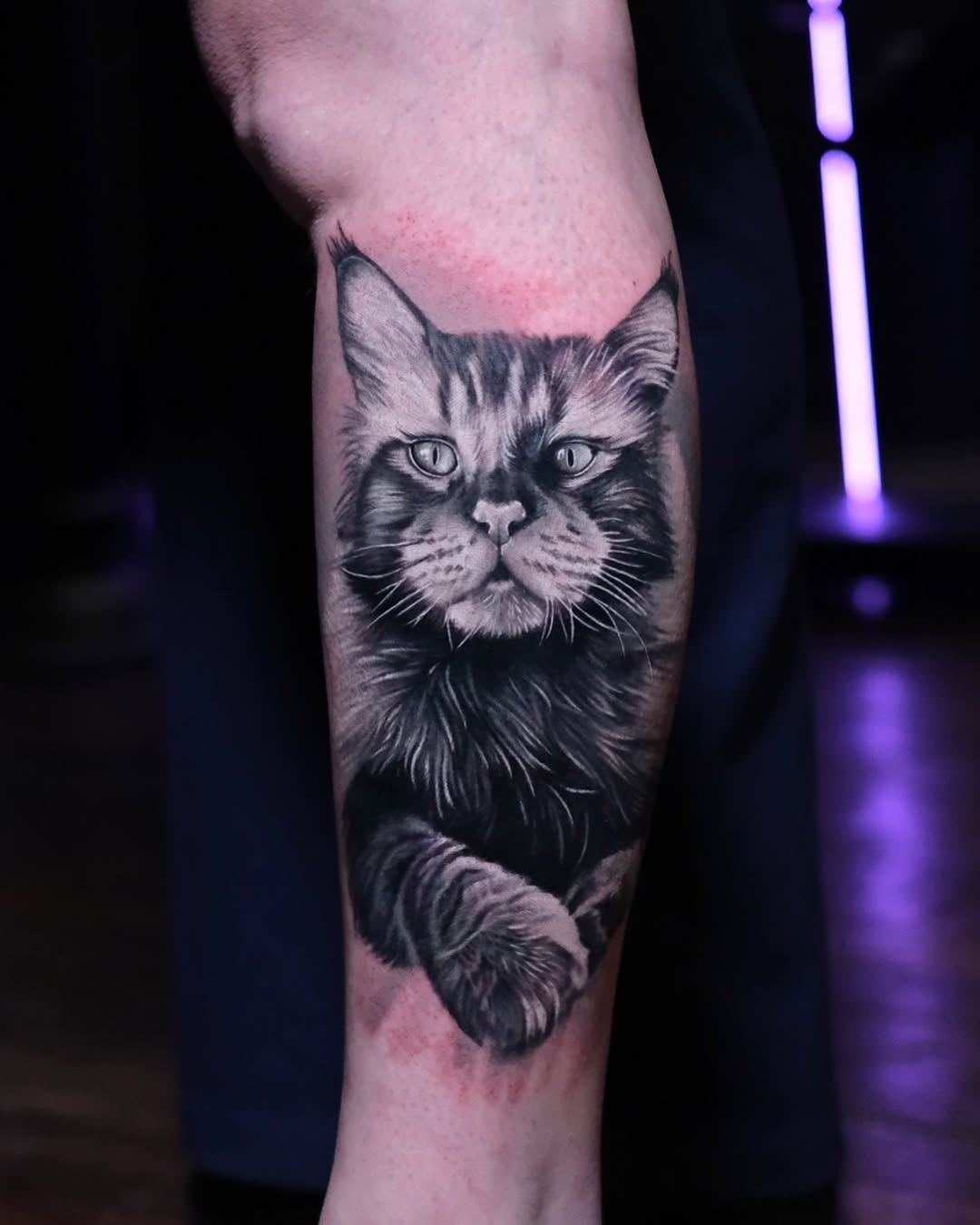 🐾 Portraits d'Animaux de Compagnie : L'Amour Éternel Gravé dans la Peau